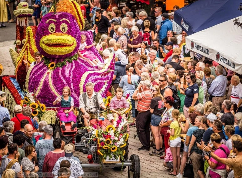 blumencorso2019stoecklchristoph.jpg