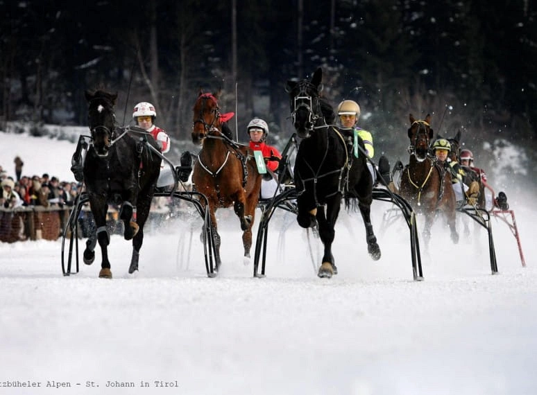 stefanirenneninst.johannintirol3kitzbueheleralpenstjohannintirol.jpg