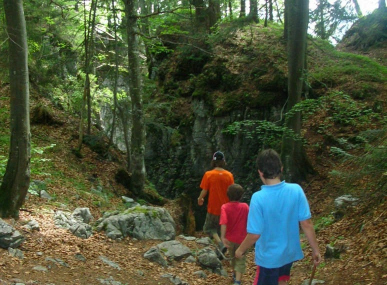 dscn1002.jpg
