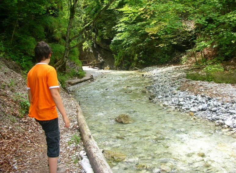 dscn9274.jpg